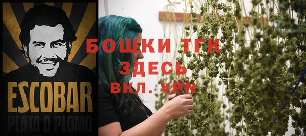 гашик Алзамай