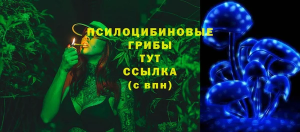 гашик Алзамай