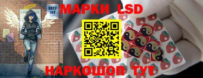 PSILOCYBIN Можга