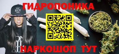 PSILOCYBIN Можга