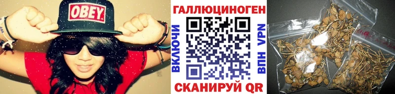Псилоцибиновые грибы Magic Shrooms Канск